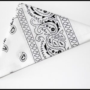 Bandana Blanc - Paisley