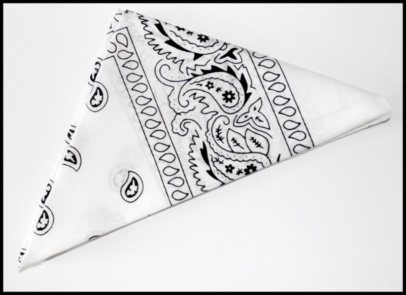 Bandana Blanc - Paisley