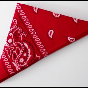 Bandana Rouge - Paisley