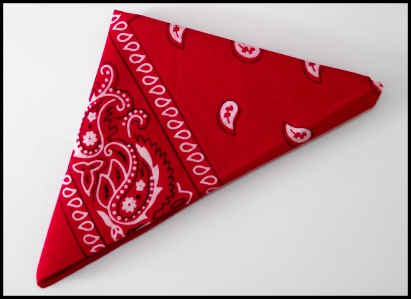 Bandana Rouge - Paisley