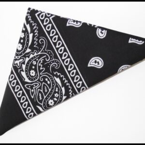 Bandana Noir - Paisley