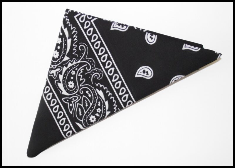 Bandana Noir - Paisley